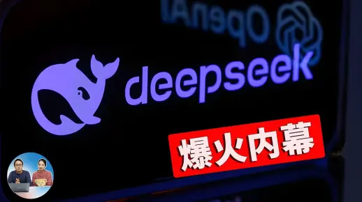 Deepseek 爆火内幕！遭DDoS攻击、数据蒸馏、抄袭 OpenAI？芯片禁售引发中美AI之争！| 零度解说