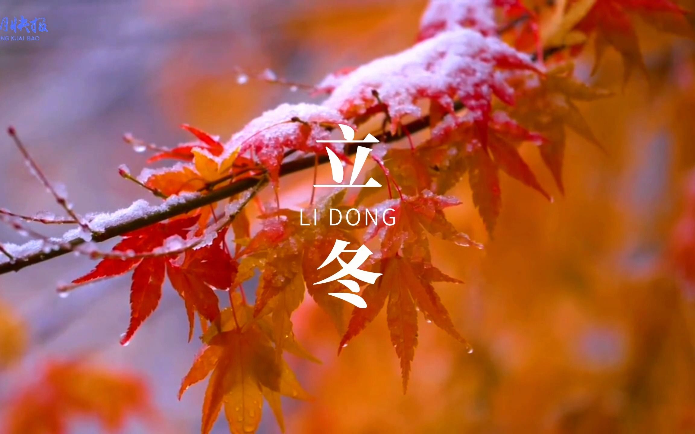今日立冬,倏忽秋又尽 今朝恰立冬