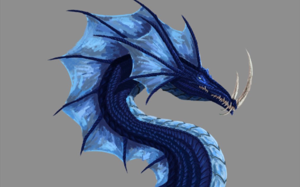 【西方龙/幻想生物】蓝龙自设(?