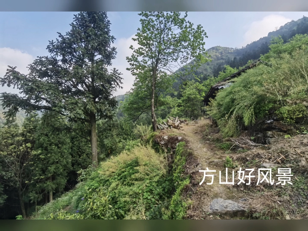 方山好风景哔哩哔哩bilibili