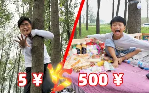 Video herunterladen: 【价值挑战】5元vs500元在树上造房子，5块钱怎么造房子？