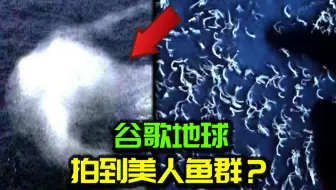 谷歌地球神秘海域发现“人鱼群”，体型10米以上？