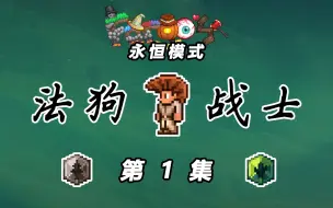 Tải video: 【泰拉瑞亚法狗战士】1：难度很高的一个模组