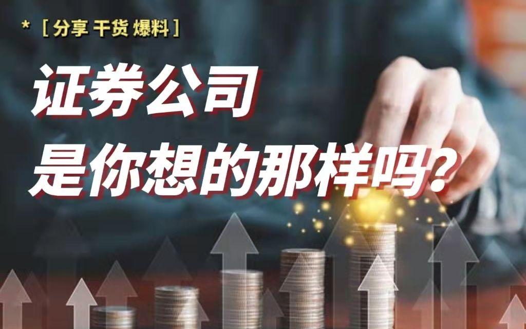 证券公司,是你想的那样吗?揭秘金融民工职场哔哩哔哩bilibili