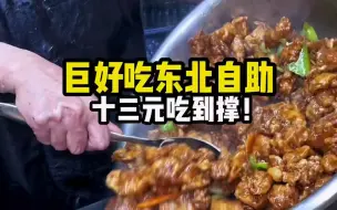 Download Video: 东北街边的十三元自助盒饭 真的超实惠！ #东北盒饭 #街头美食 #自助餐 #东北菜