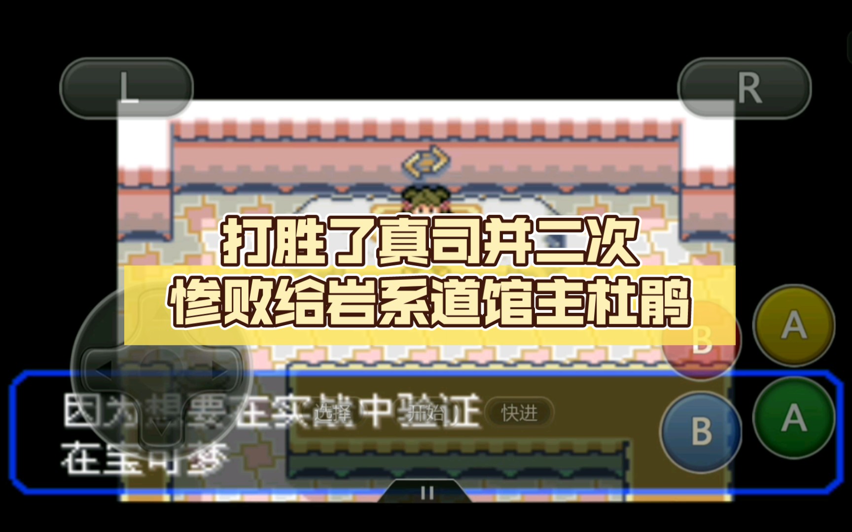 口袋妖怪 究极绿宝石 ⑦ 打胜了真司并二次惨败给岩系道馆主杜鹃