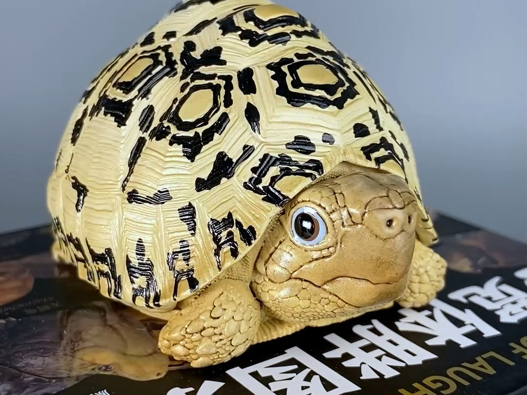 【呆头鹅模玩】动物星云动物星球心宽体胖龟模型