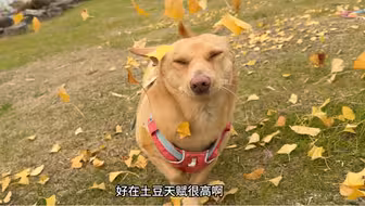 《自己吓自己》的超长幕后花絮来啦～