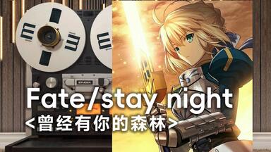 Fate/stay night ED-あなたがいた森-樹海_哔哩哔哩_bilibili