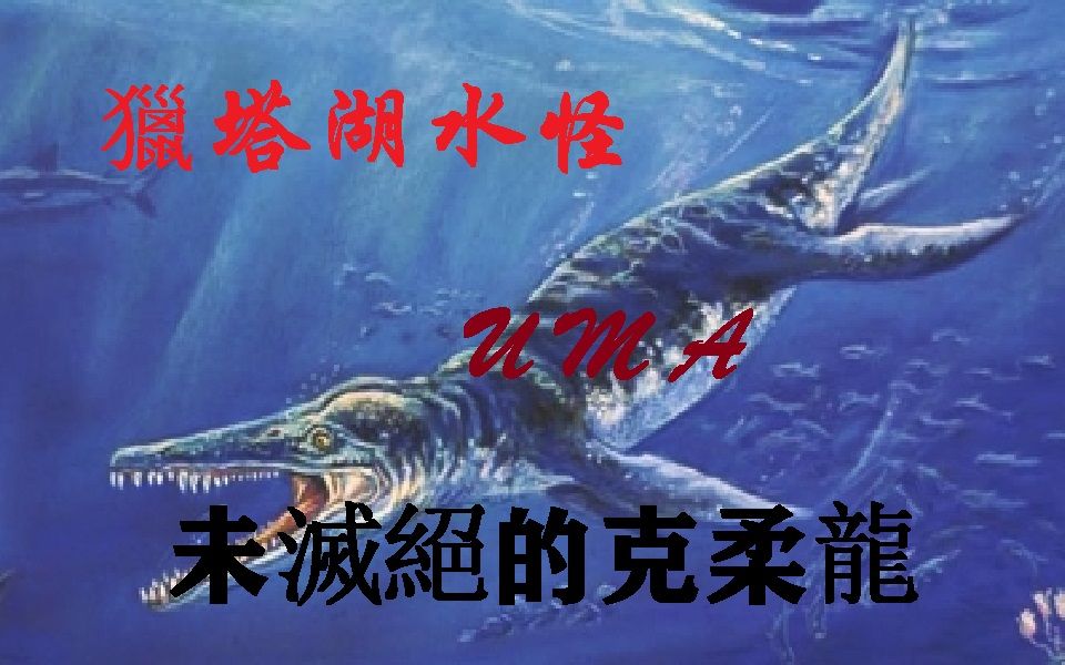 四川活恐龍-猎塔湖水怪,曾被瘋傳成疑似殘存克柔龍的神秘生物.