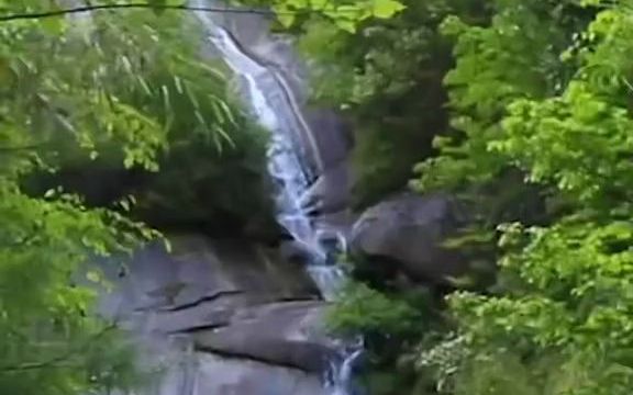 【风景】这个周末一定不要错过的旅游好去处,陕西镇安木王山的千亩杜鹃花海的浪漫哔哩哔哩bilibili