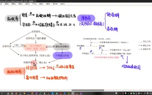 Download Video: 抗凝药vs抗血小板药vs溶栓药