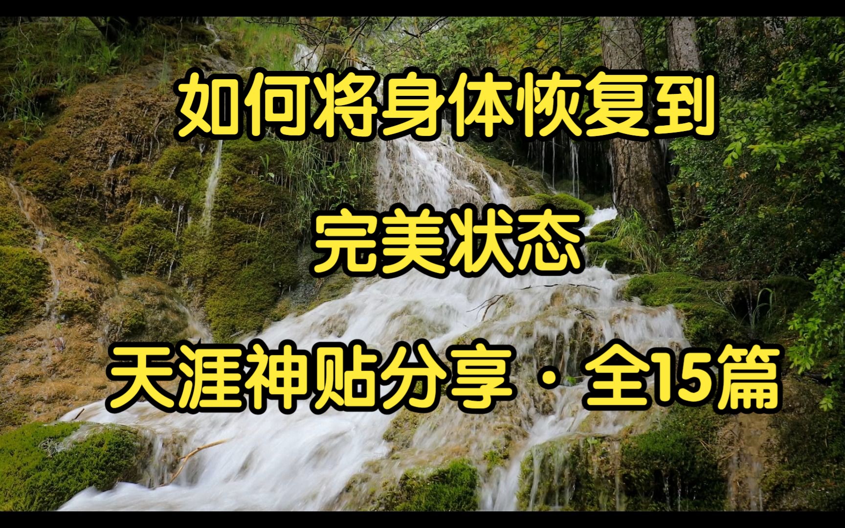 天涯神帖(共15篇)《如何将身体恢复到完美状态》整理版哔哩哔哩bilibili