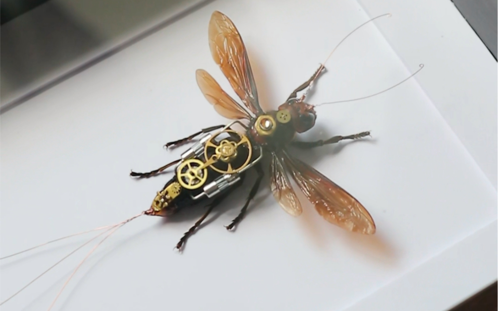 alone手作-蒸汽朋克风格蜜蜂标本 原创系列
