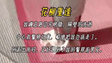 《云柳重逢》我蹲在路边买烤肠,隔壁的洗浴中心有警察扫黄,顺便把我也抓走了.到派出所时,正好遇到了我的警察前男友.前男友问,你是去消费的还...