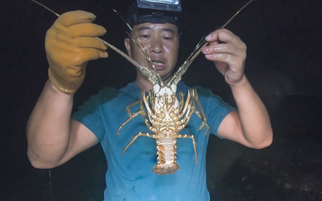 玉平赶海被鱼遛着跑结果一不小心闯入龙虾领地把玉平高兴坏了