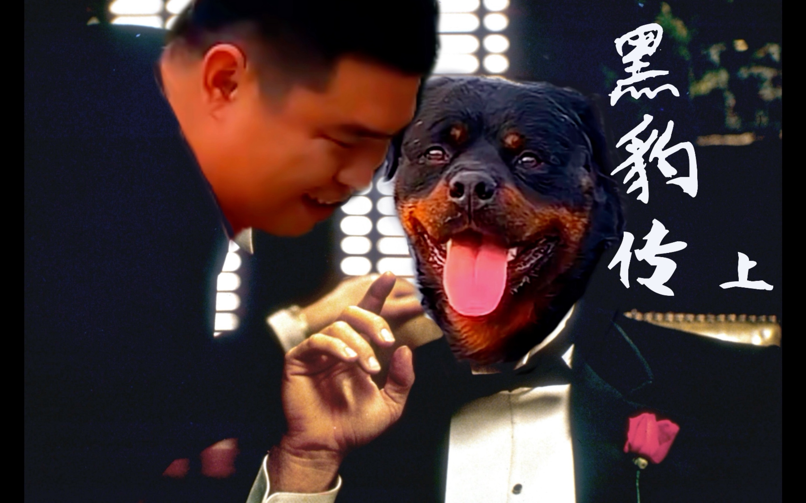 《豫西狗场风云录之黑豹传》上部