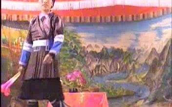 [图](侗戏)仪美绘郎(碟1)，2001年，难得一个圆满结局的侗族民间古故事