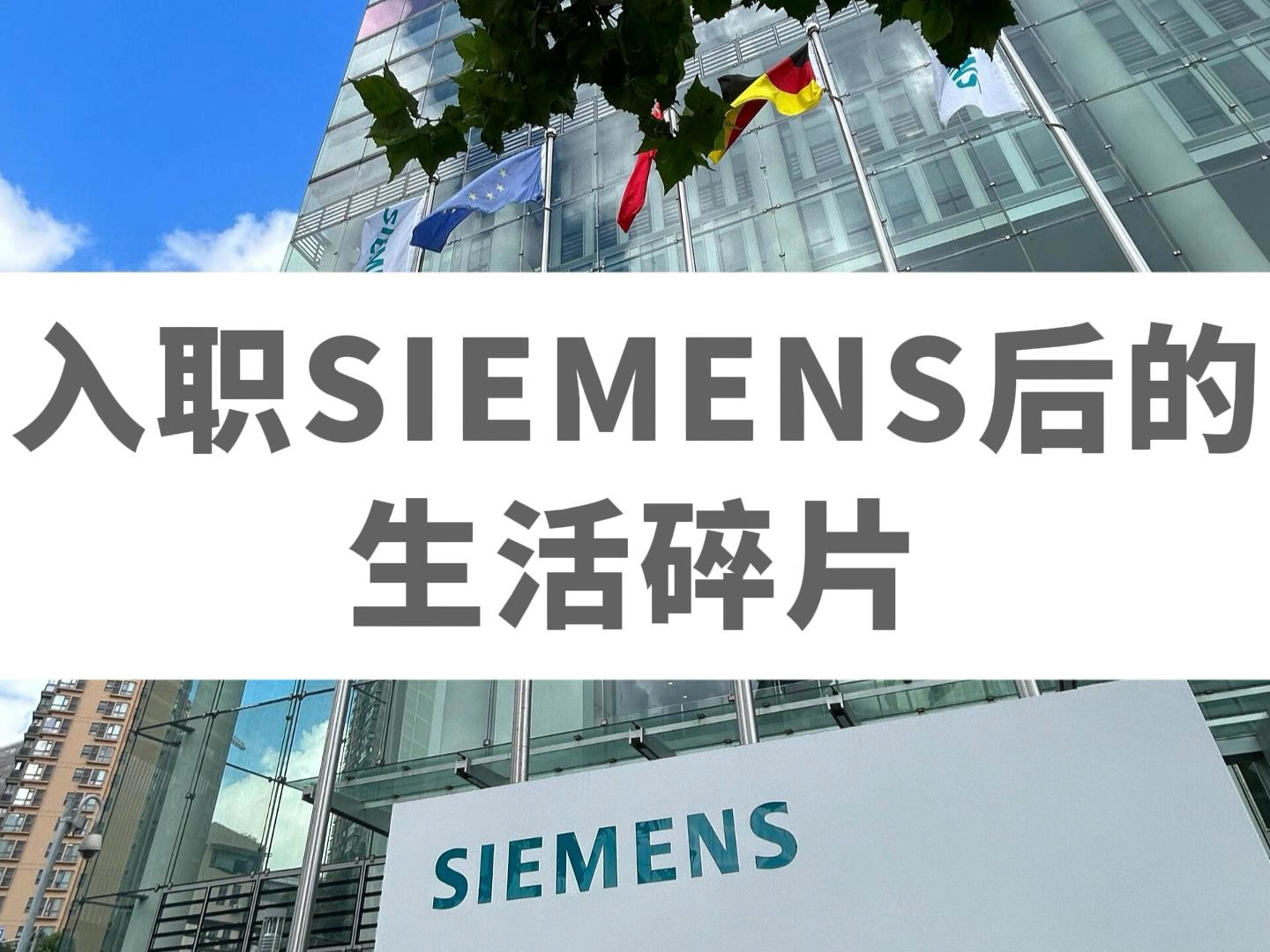 校招入职SIEMENS,感受到外企的氛围,简直不要太爽哔哩哔哩bilibili