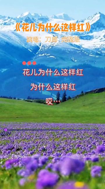花儿为什么这样红歌曲是什么意思为什么在线