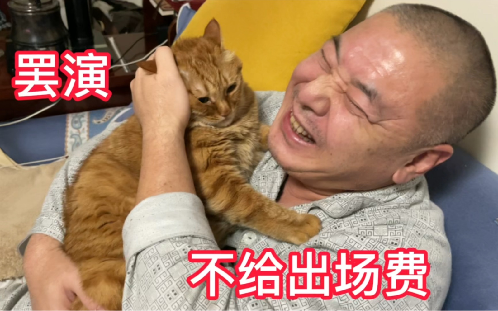 [图]爸爸和小肥猫说妈妈太抠门都不给出场费，我们要罢演！