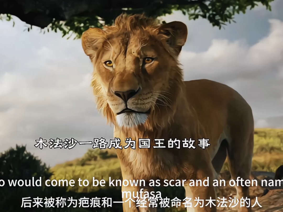 辛巴爸爸木法沙的故事