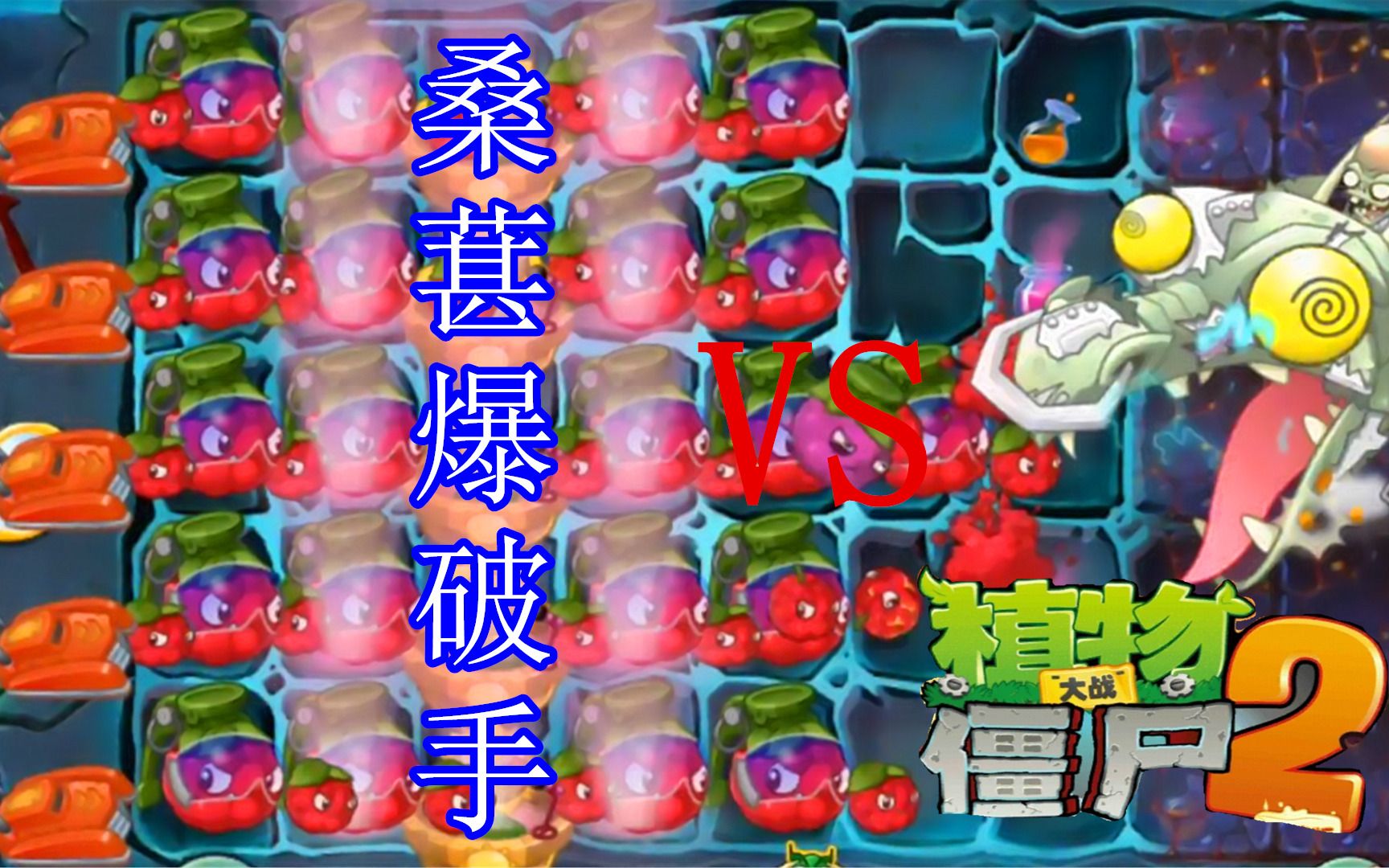 植物大战僵尸2:新僵尸全屏桑葚爆破手,射程变三格黑龙博士!