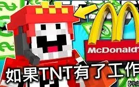 我的世界 - 如果TNT有了工作！【中文字幕】