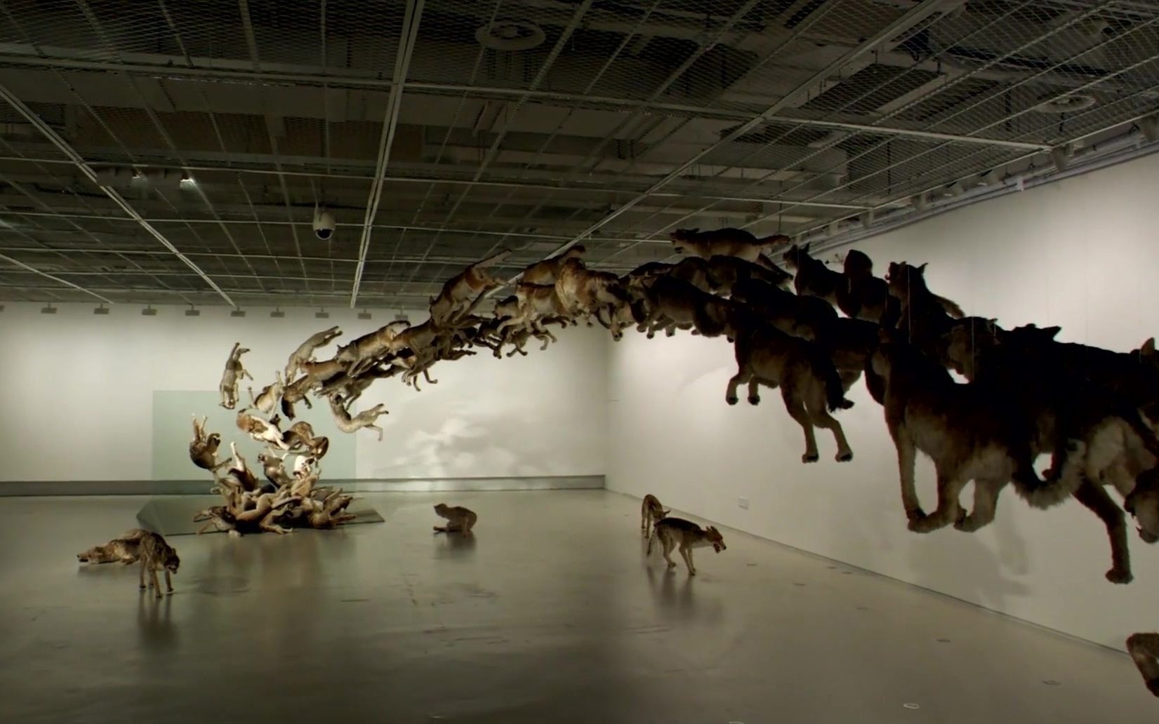 《天梯:蔡国强的艺术》精彩艺术片段