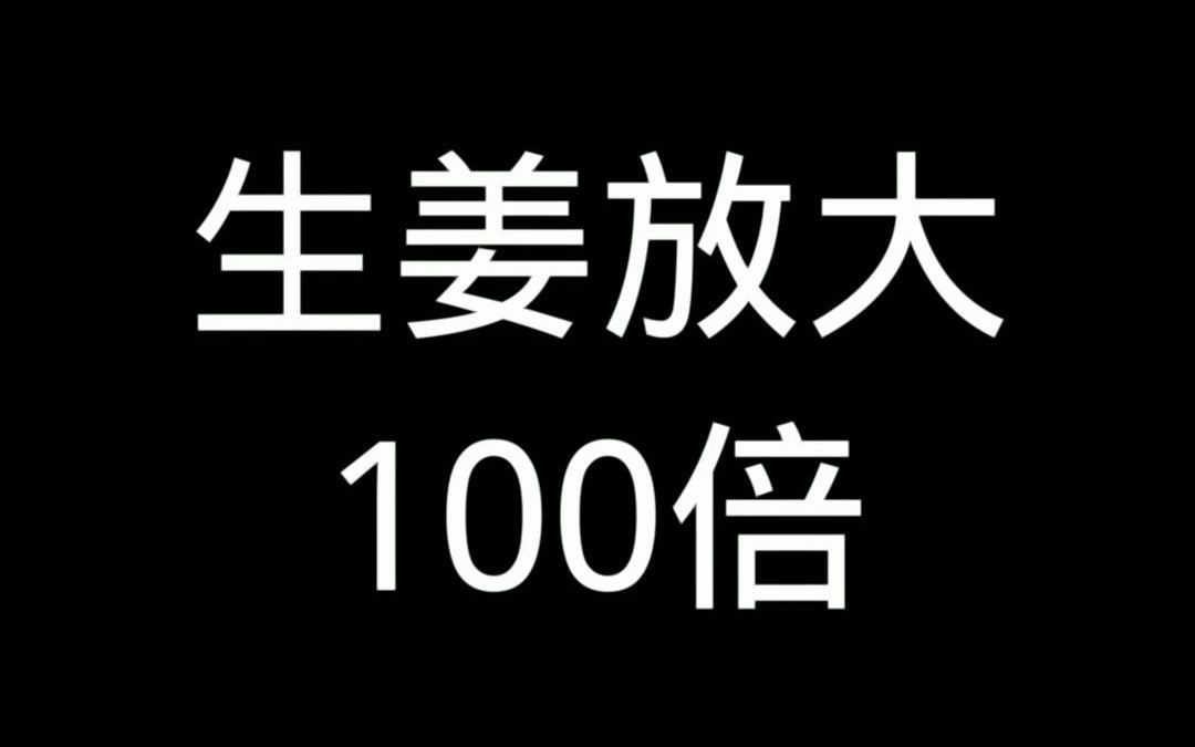 显微镜下生姜放大100倍!哔哩哔哩bilibili