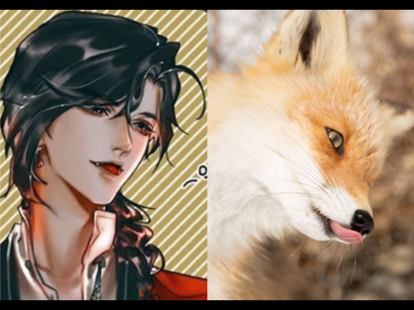 花狐狸?不愧是城主