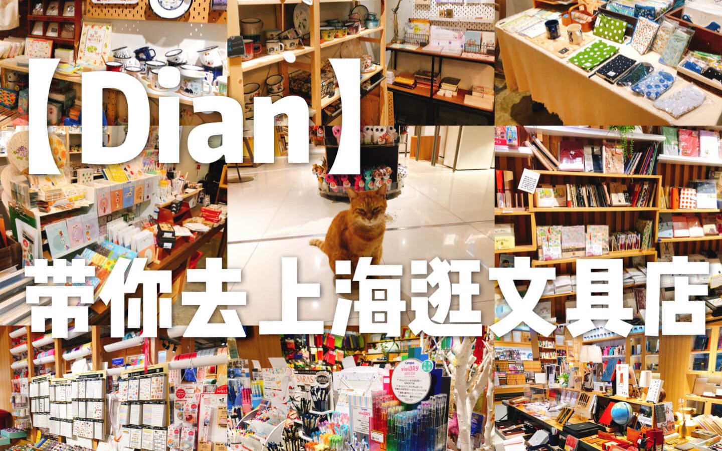 【Dian】带你逛上海的文具店&文具展哔哩哔哩bilibili