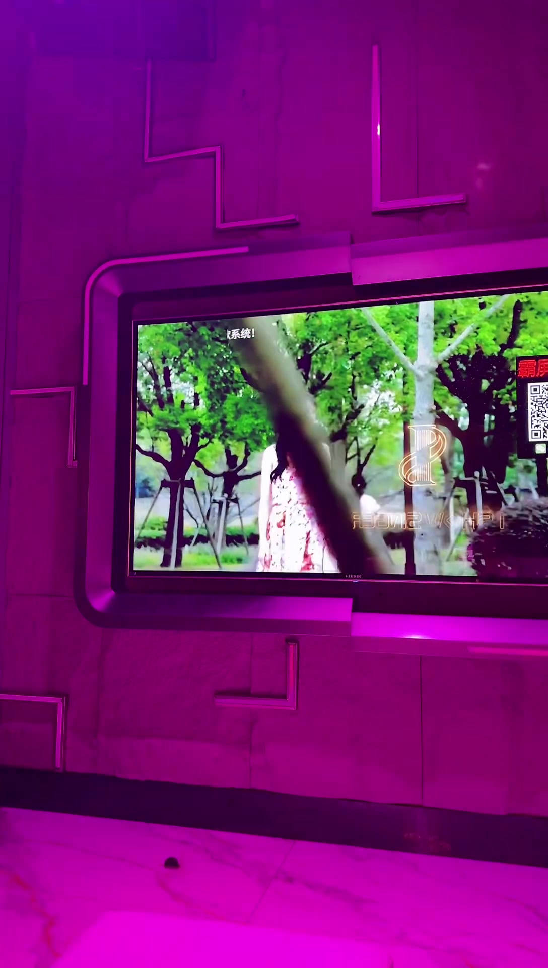 兔总裁_240524_004329