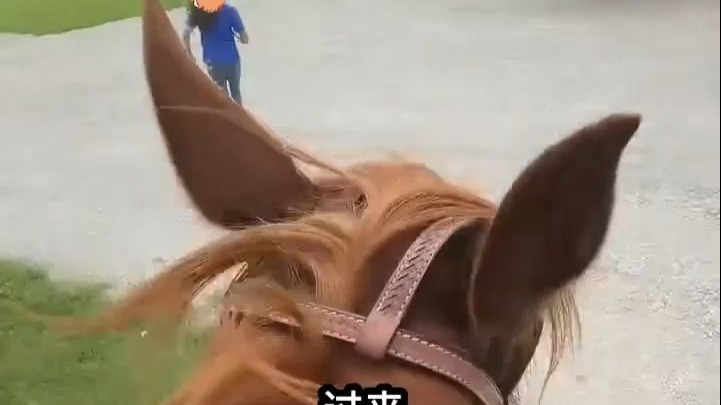 【PJSK】角色们的日常