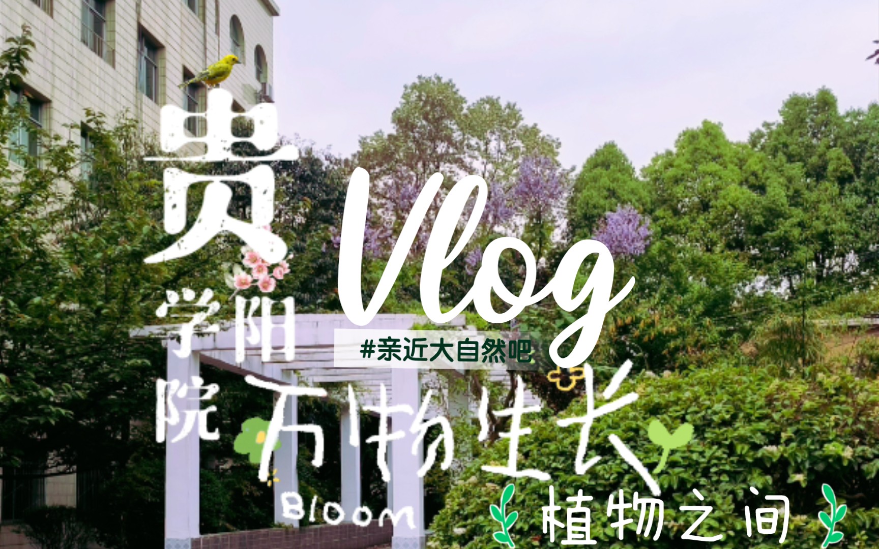 花园学院植物覆盖率最高的学校贵阳学院哔哩哔哩bilibili