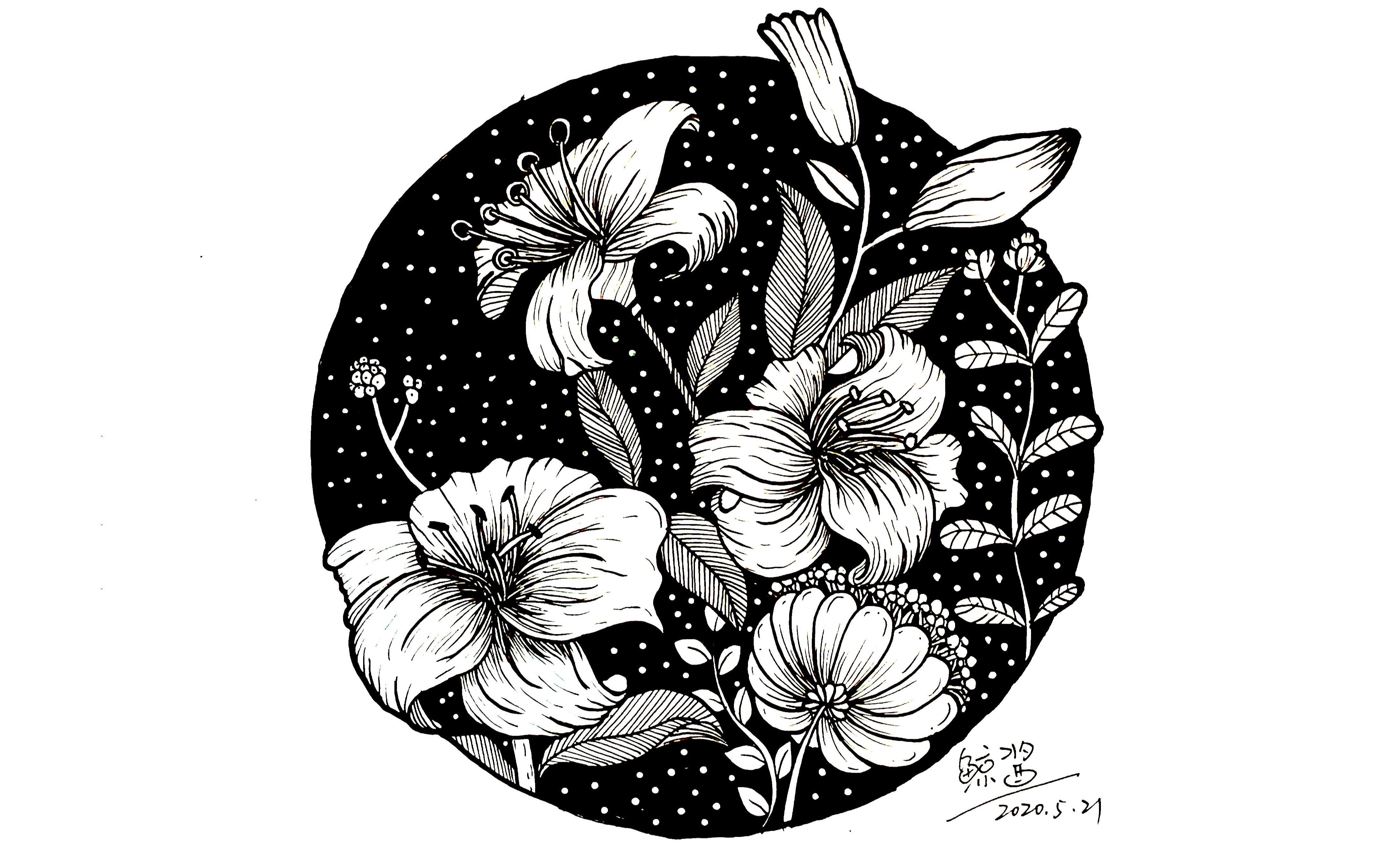 【自制】手绘黑白装饰画之花卉系列1