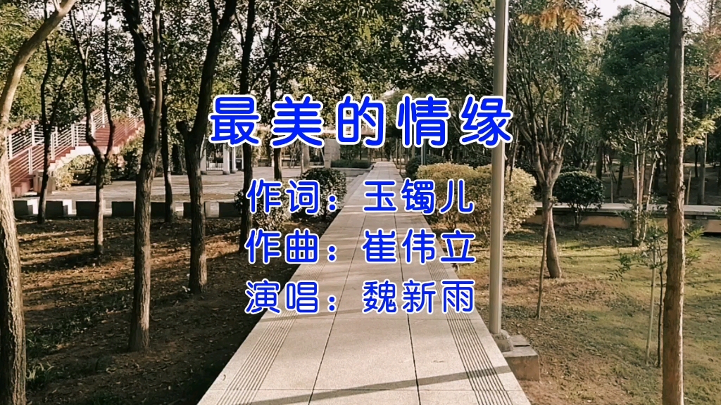 一首醉人的情歌魏新雨原唱《最美的情緣》柔柔的情歌,醉人心扉!