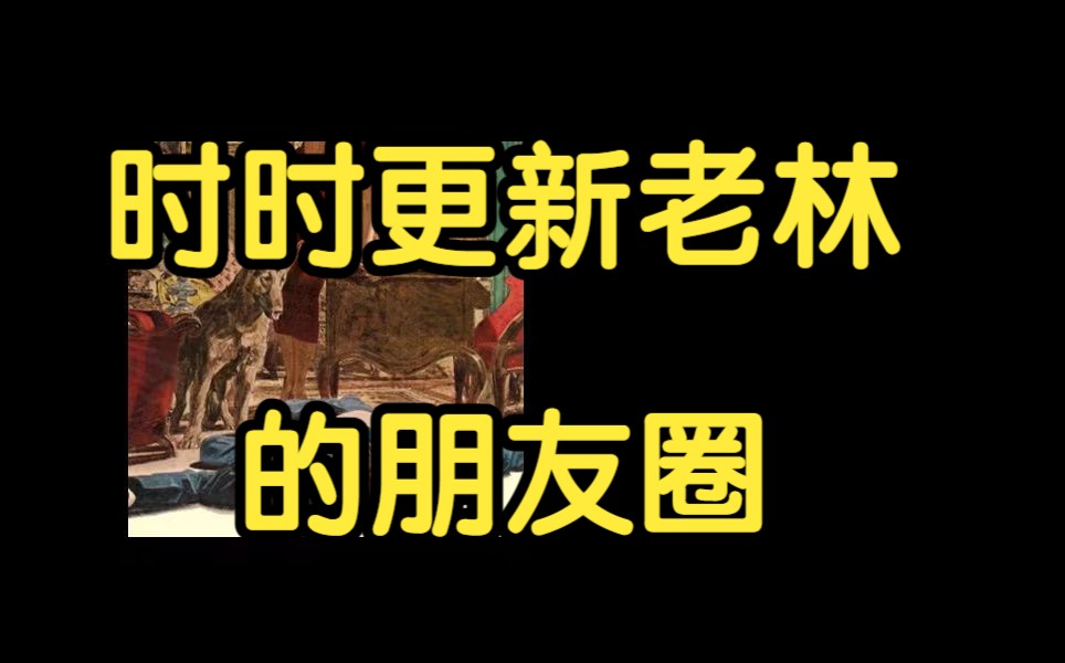 时时更新老林 对人生的感悟 情感认知 商业 社交 最新公开课 的朋友圈内容哔哩哔哩bilibili