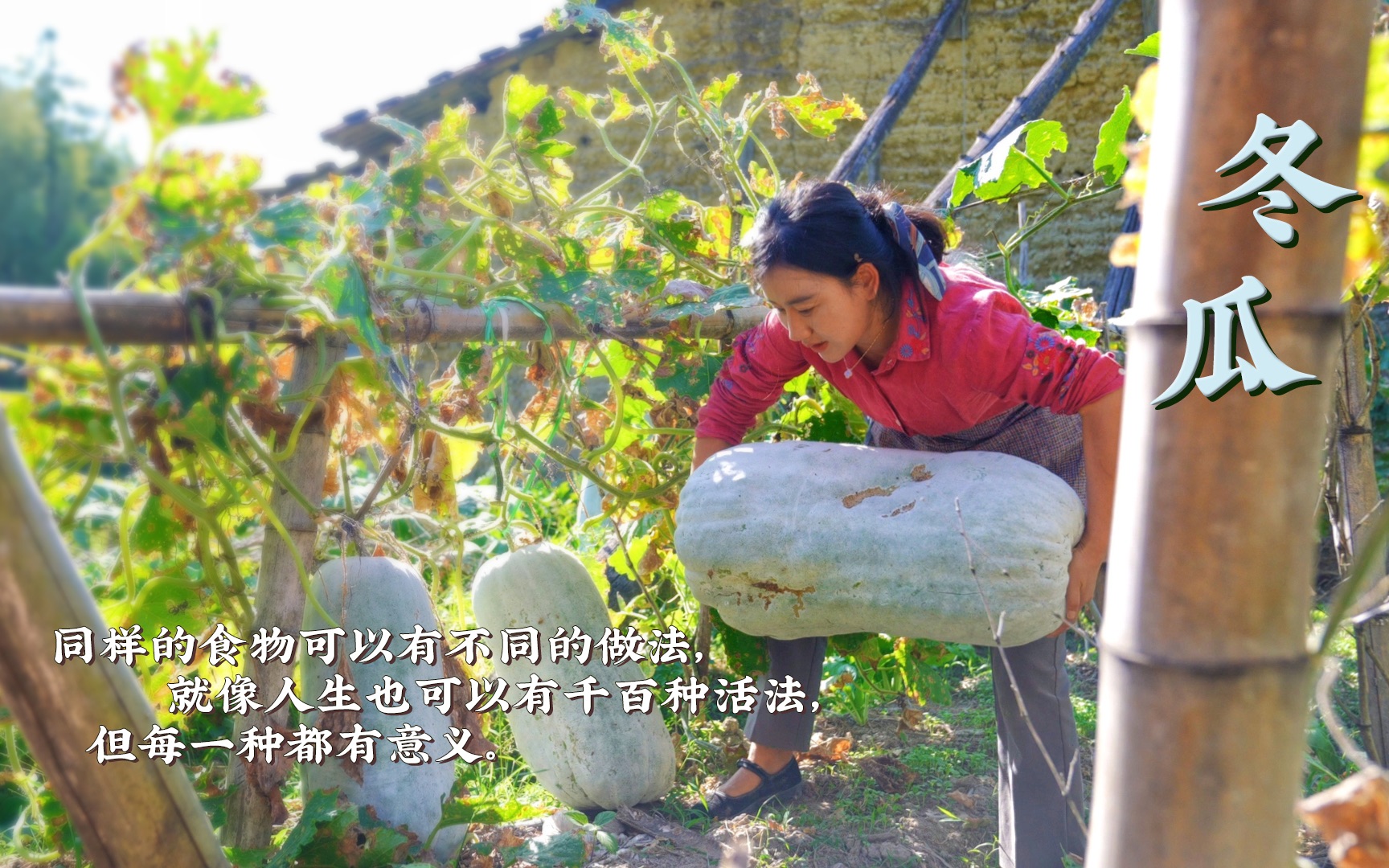 [图]冬瓜有几种做法？同样的食物有不同做法，就像人生也有千百种活法，但每种都有意义