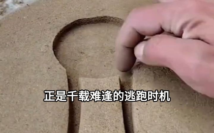 [图]离谱！天天要抱抱，还高冷魔帝？11