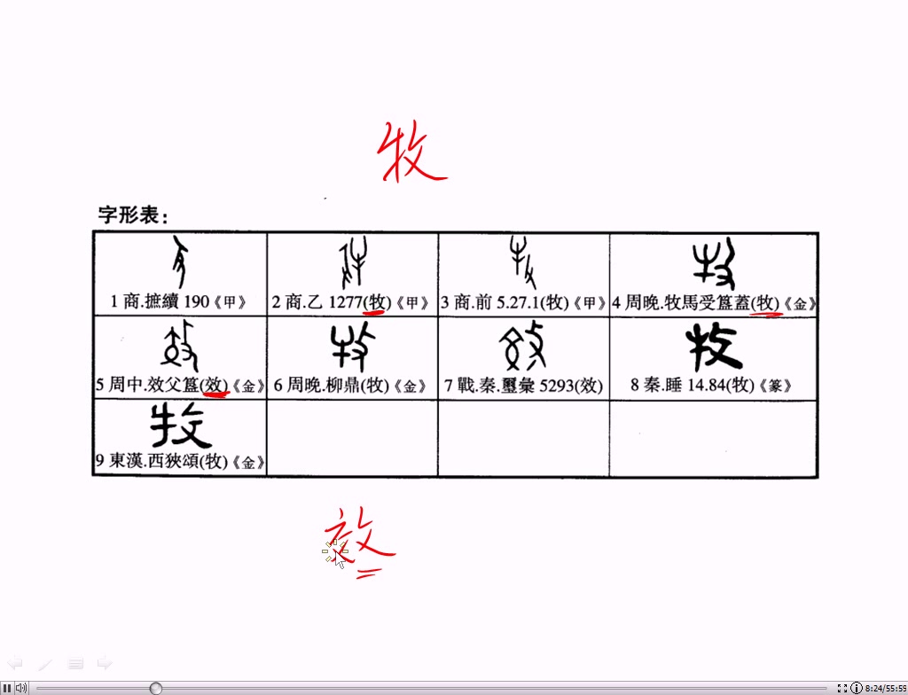 【国学新知】葛亮精读《说文解字》之“攴/攵”(第172期)哔哩哔哩bilibili