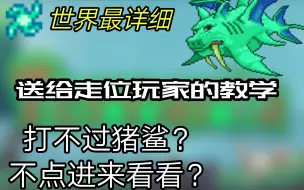 Download Video: 【泰拉瑞亚】最详细的猪鲨走位教学攻略