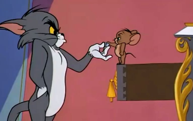 成语中的猫和老鼠