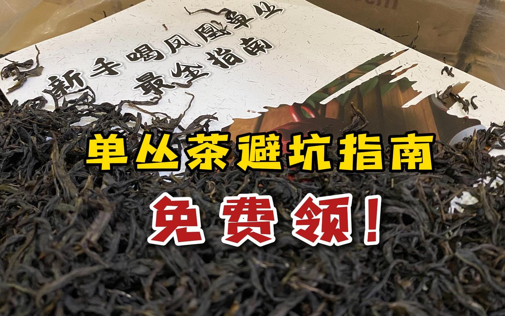 正宗凤凰单丛茶要怎么选?这份行内避坑指南,看完就懂得买!哔哩哔哩bilibili