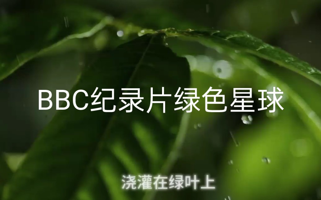 [图]BBC纪录片绿色星球，剪辑