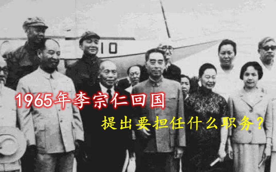 1965年李宗仁回国,提出要担任什么级别的职务?为何最后没能如愿哔哩哔哩bilibili