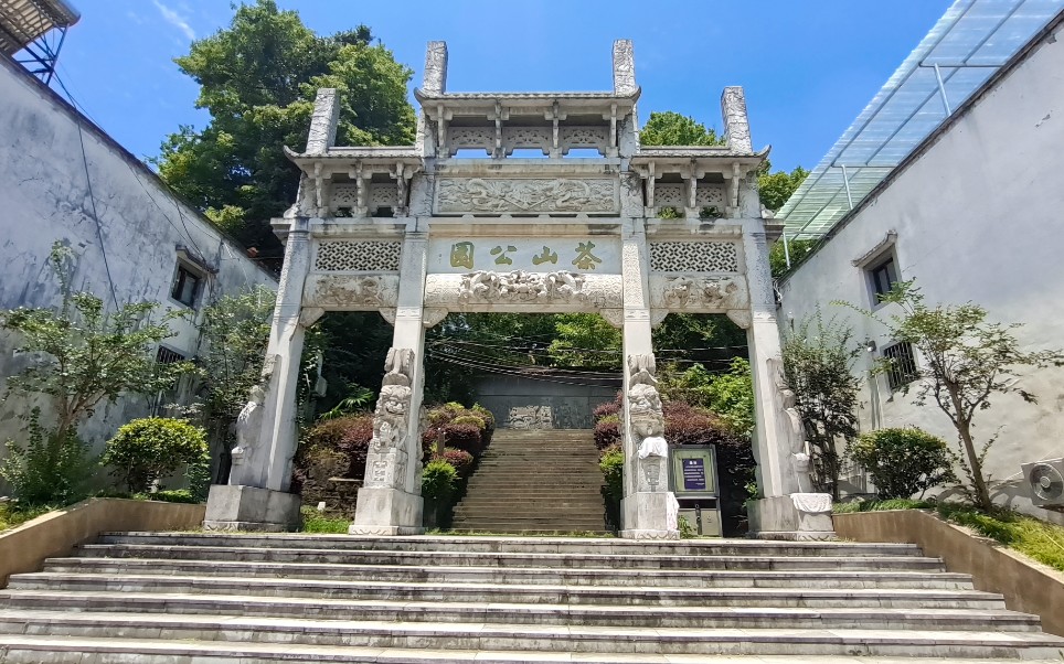 黄山祁门茶山公园,满山遍野的茶树,闲暇之时逛逛真不错