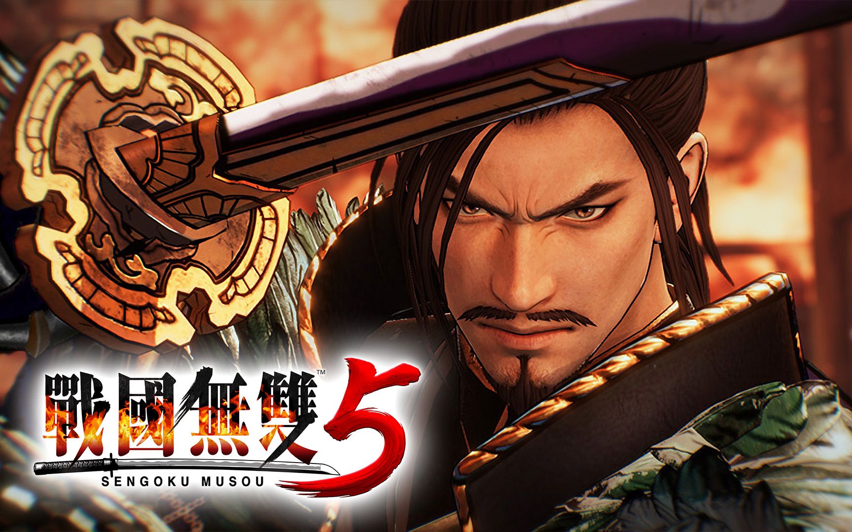 战国无双5戦国无双5