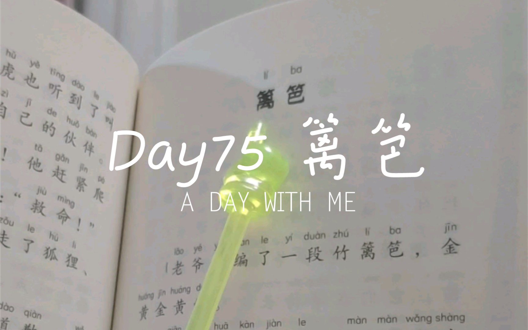 [图]Day75 朗读者 小鸟念书 篱笆