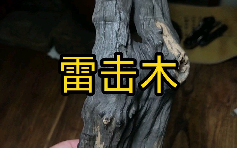 [图]【人文科普】雷击木在于“天雷”余力，必须来自仙山福地，因为只有那里适合修炼，才能引动雷劫。